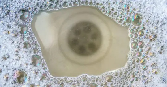 clogged drain